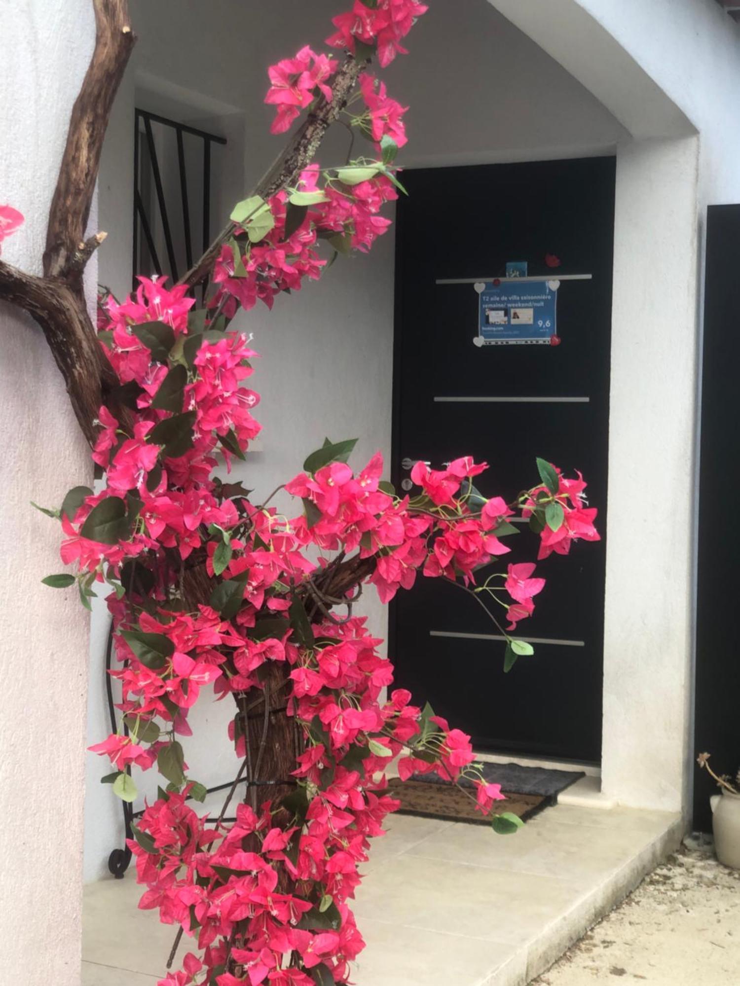 T2 Aile De Villa Et Spa-Jacuzzi Prive Et Illimite Et Plateau D'Acceuil Offert! Camps-la-Source 외부 사진